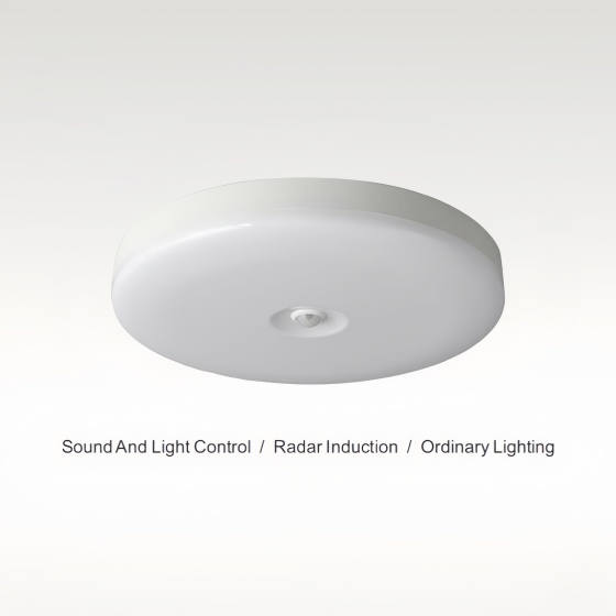 ceiling lamp-BX-X037