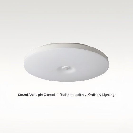 Induction three proof ceiling lamp-BX-X