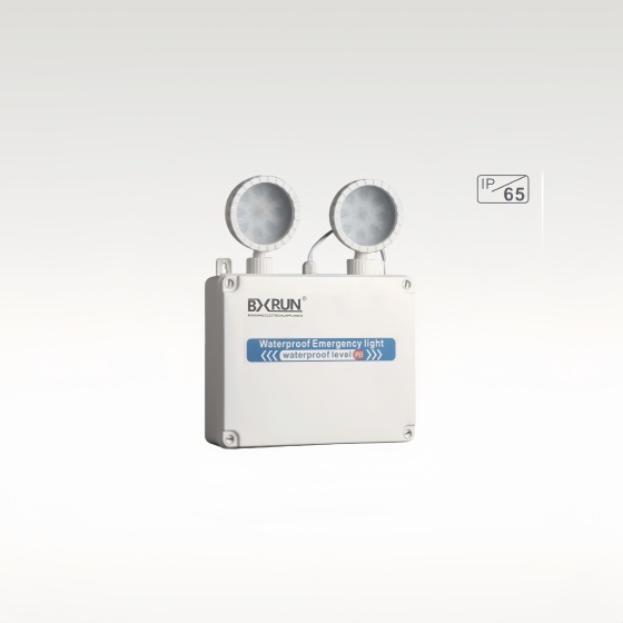 Waterproof double head lamp-BX-FS029