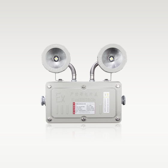 集控型 防爆双头灯(集电/自电)