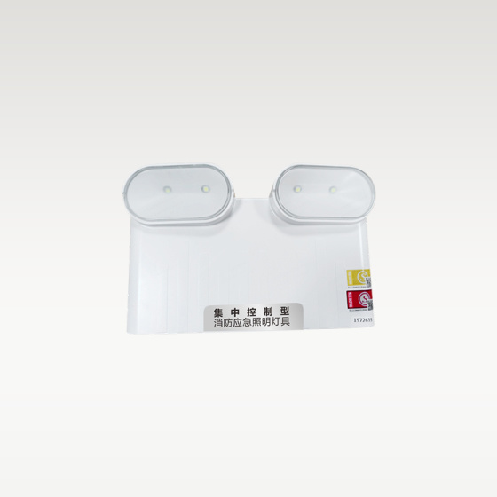 集控型 262全塑防水双头灯(集电/自电)