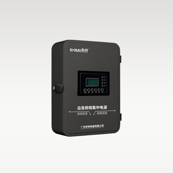 应急照明集中电源（锂电池）